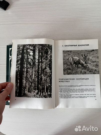 Книга Охота в иллюстрациях