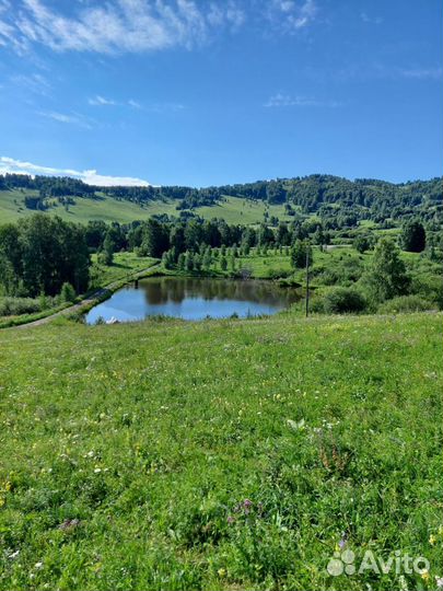 Продам готовый бизнес сельское хозяйство