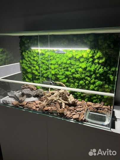 Террариум 100*40*60h