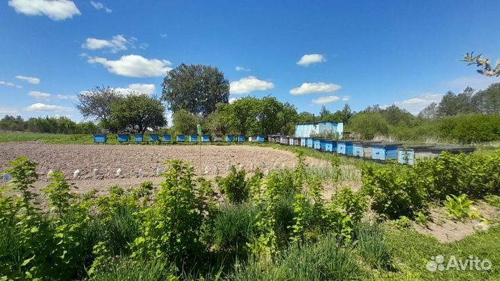 Ульи для пчел