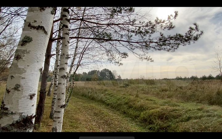 Участок 1,2 га (СНТ, ДНП)