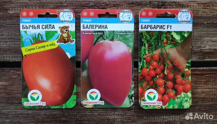 Семена Томатов №6 сиб.сад