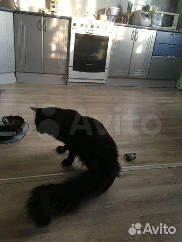 Мейн-кун вязка