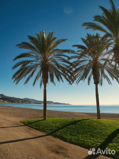 Тур в Абхазию из Казани