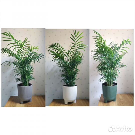 Кашпо для цветов lamela (Польша)