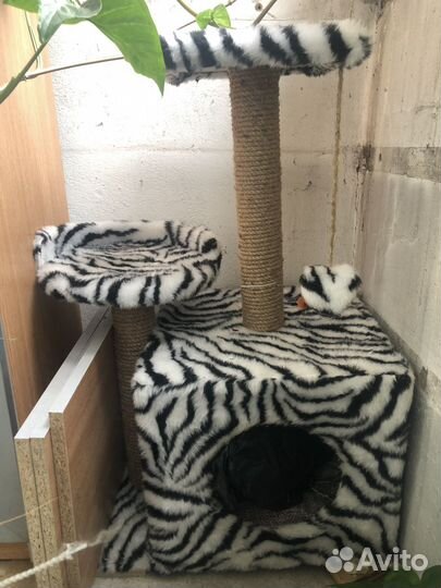 Домик для кошки