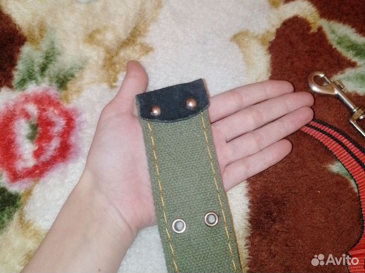 Амуниция для собак