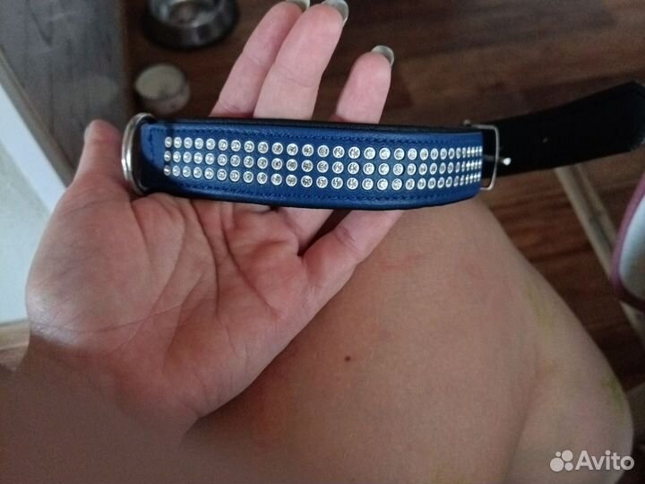 Ошейник кожаный новый