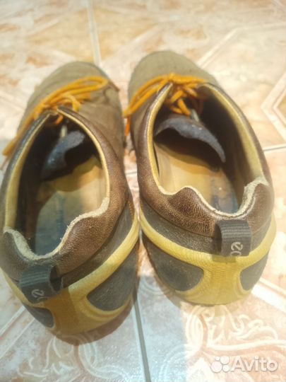 Кроссовки Ecco Biom (мужские) 42