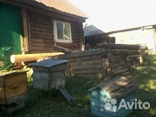 Пчелы с ульями