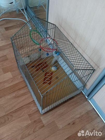 Клетка для попугая