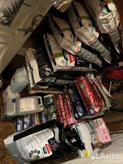 Корм для собак