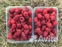 Малина Карамелька