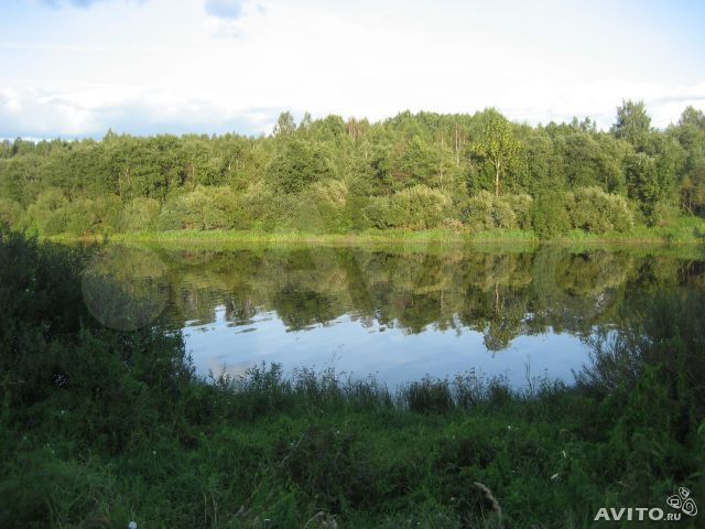 Участок 54,5 сот. (СНТ, ДНП)