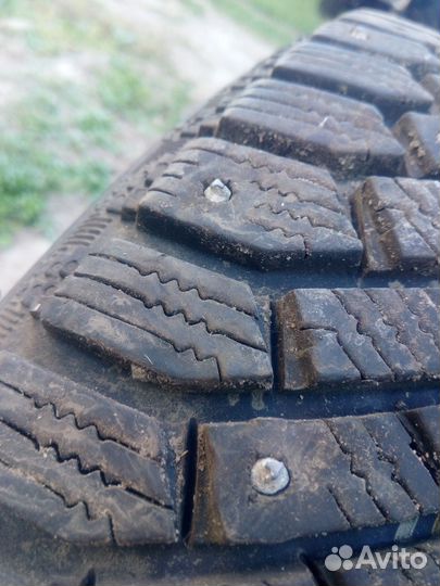 Gislaved Nord Frost 200 185/65 R15