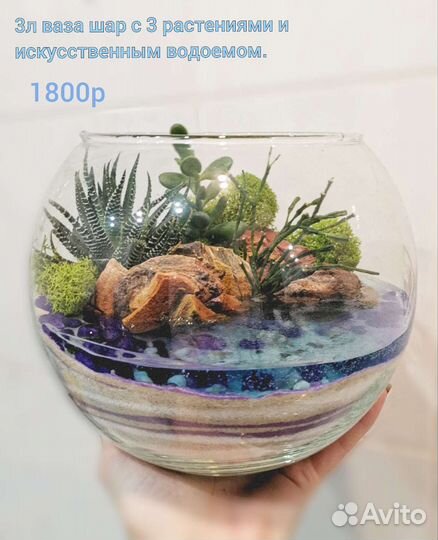 Флорариум с Водоёмом. Подарок