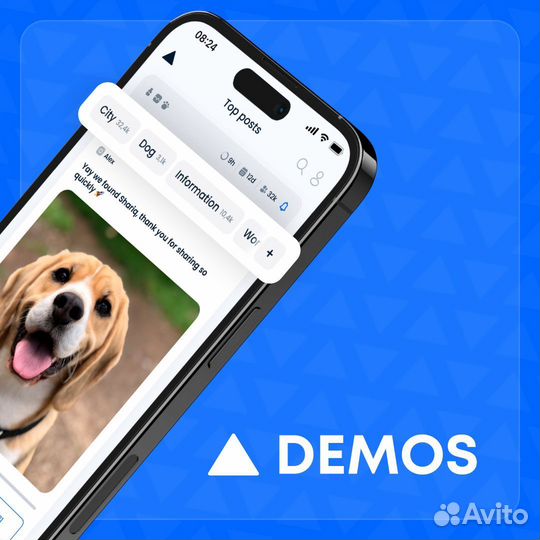 Инвестиции в IT стартап