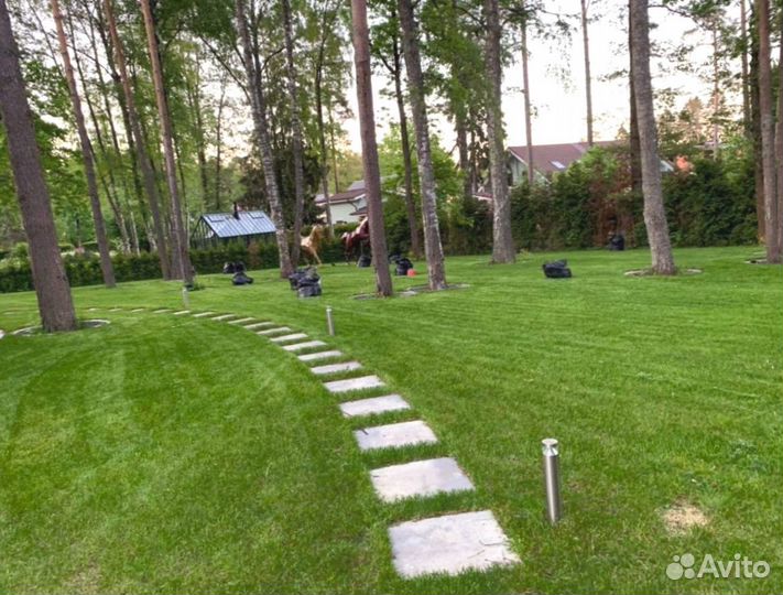Рулонный газон