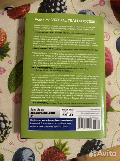 Virtual team success