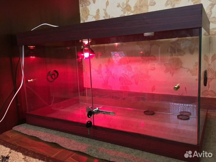 Продам готовые террариумы и на заказ