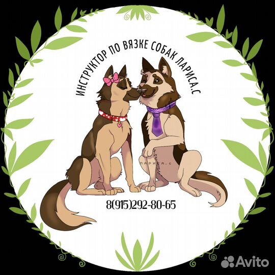 Профессиональный опытный инструктор по вязке собак