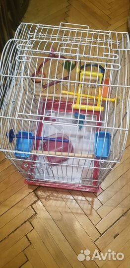 Клетка для попугаев