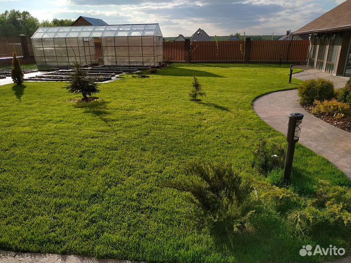 Газон под ключ