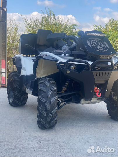 Стелс гепард