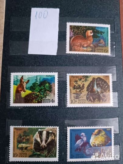 Почтовые марки СССР Фауна Спорт