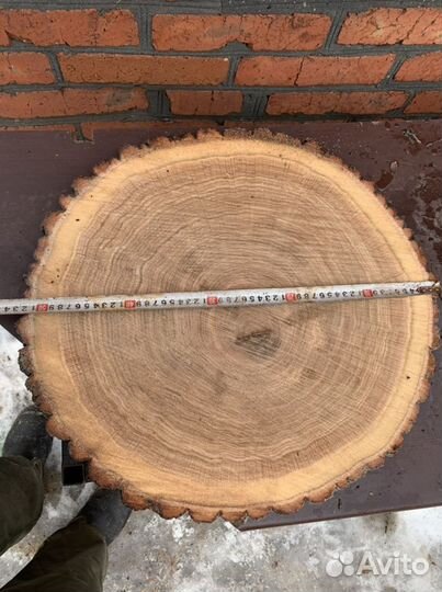 Спилы Слэб торцевые дуб ясень вяз