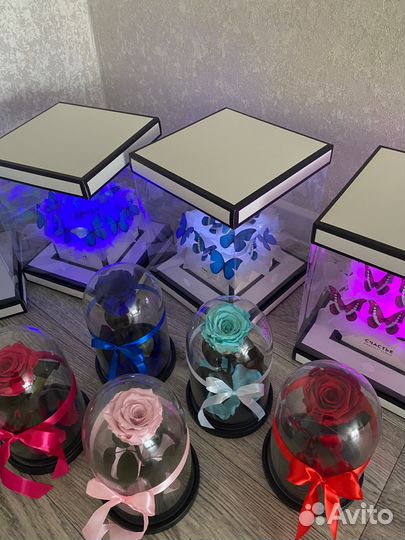 Роза в колбе подарок девушке