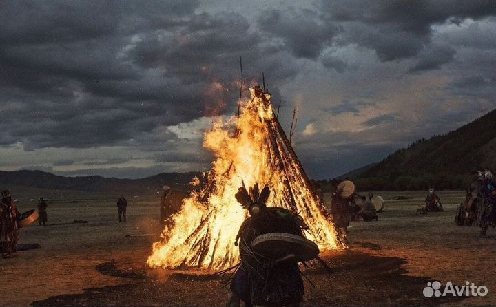 Чай пуэр « Космос шаманов » шмн11501