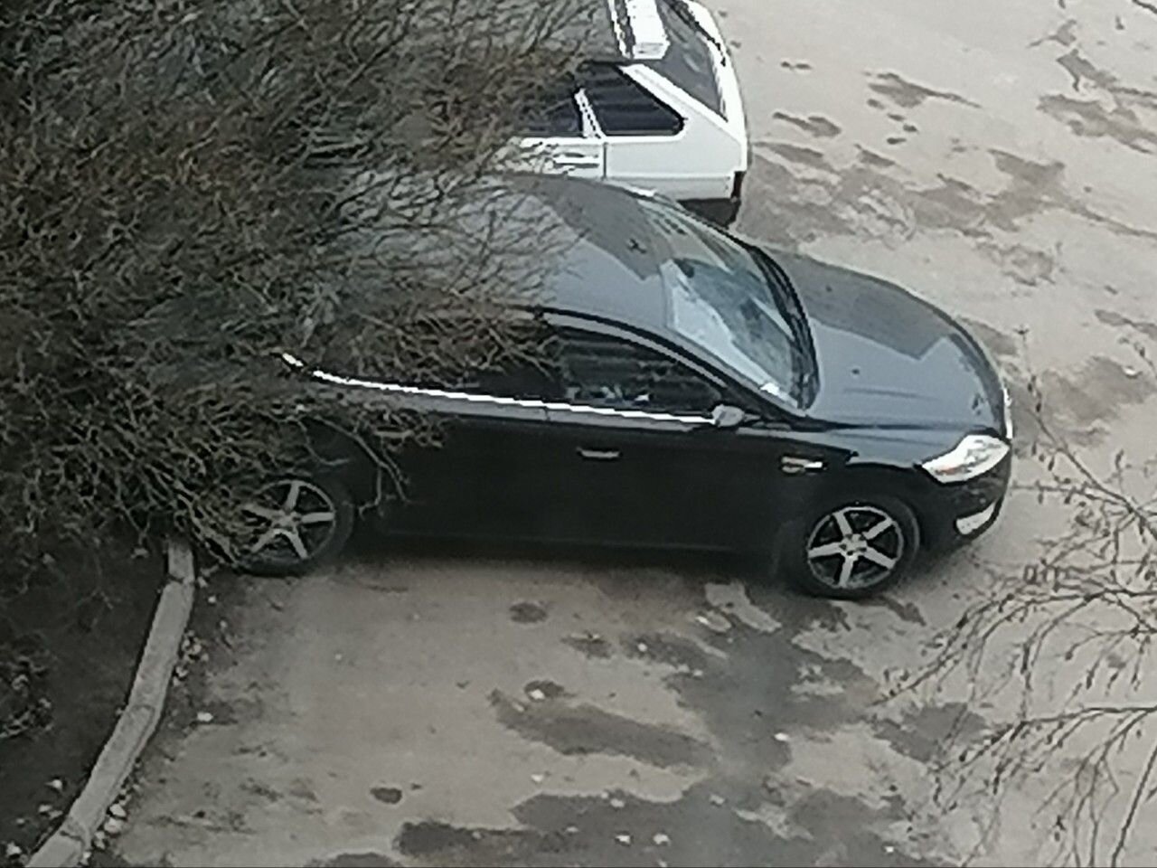 Ford Mondeo: фото владельца