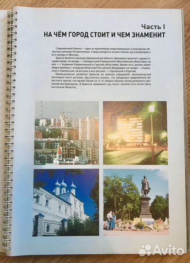 Книга о Брянске