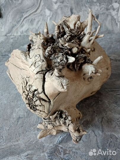 Дрифтвуд(красивые коряги)