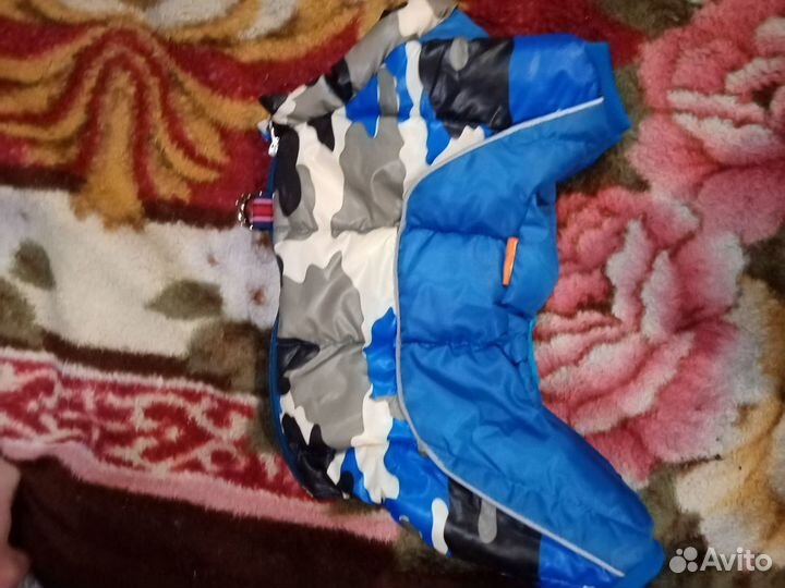 Одежда для маленьких собак