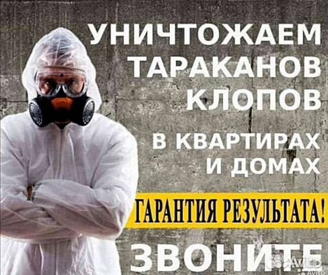 Уничтожение клопов тараканов блох мышей плесени