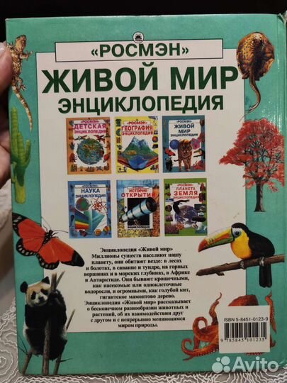 Энциклопедия для детей