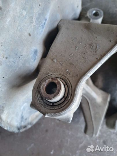 Цапфа задняя Volkswagen Passat B6