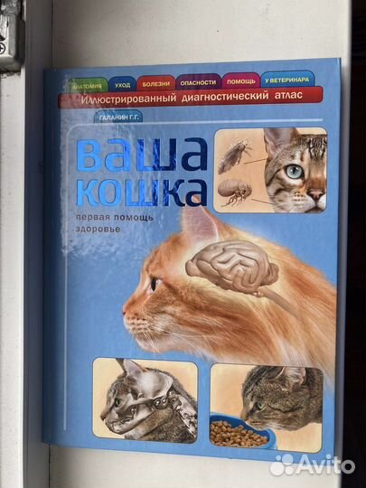 Кошки. Энциклопедии