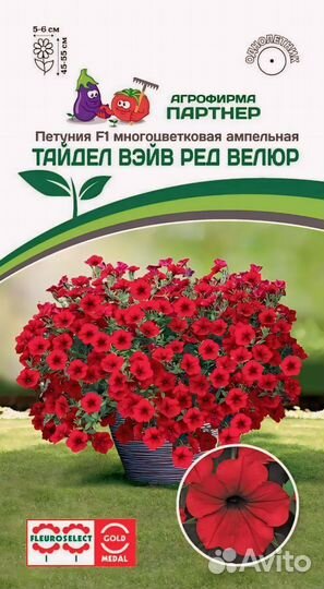 Петуния