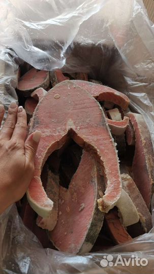 Стейки рыбы свежемороженые