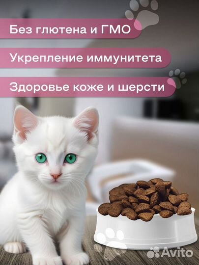 Корм для котят Fealdon, лосось и рис 1,5кг