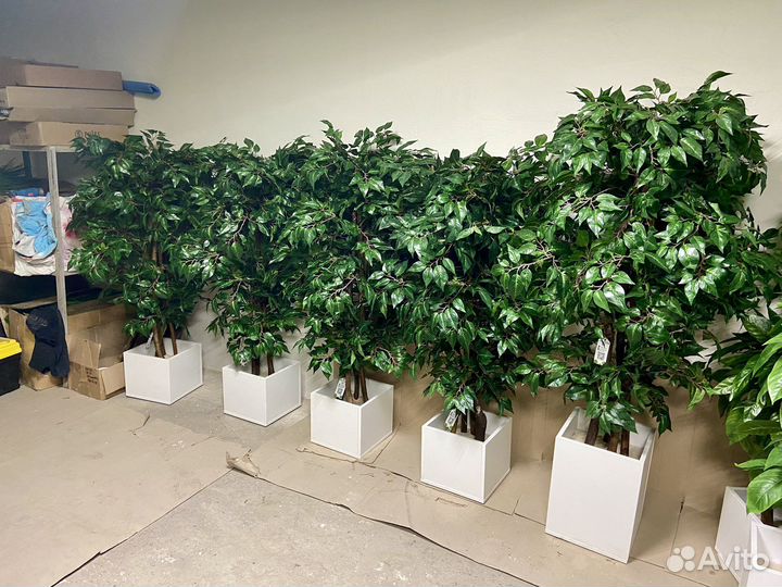 Искусственное дерево / Декоративное озеленение