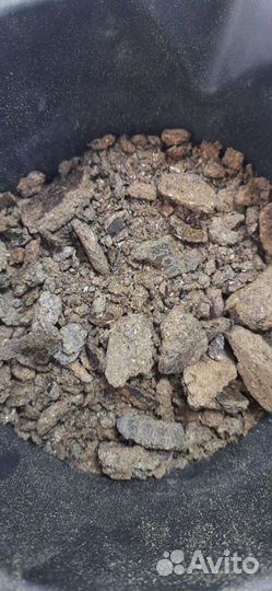 Жмых, льняной, тыквы, семян кон