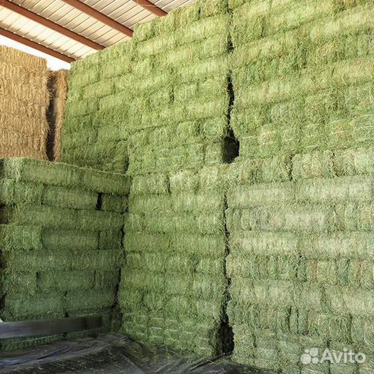 Сено в кипах