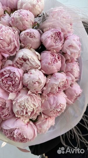 Букет из пионов. 31 штука