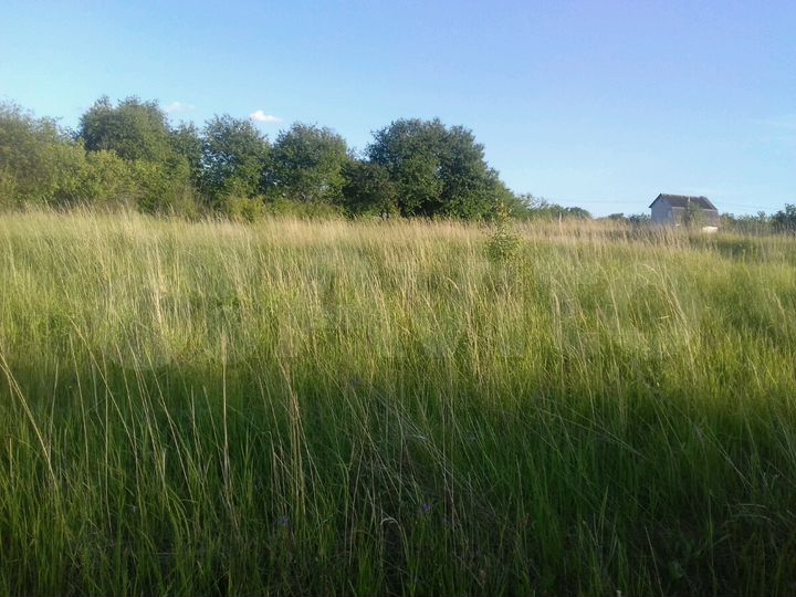 Участок 30 сот. (СНТ, ДНП)