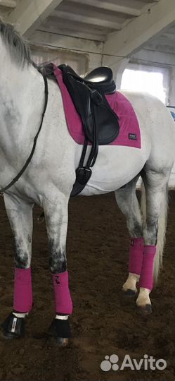 Вальтрап для лошади, бинты