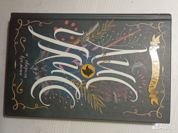 Лис Улисс Адра Фред